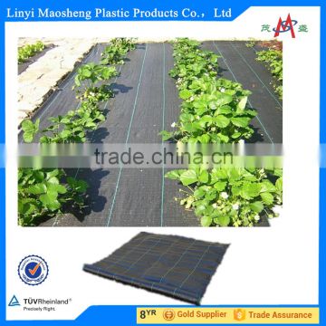 grass weed ground cover cloth anti grass cloth weed fabric control/anti grass cloth/weed stop mat made in china