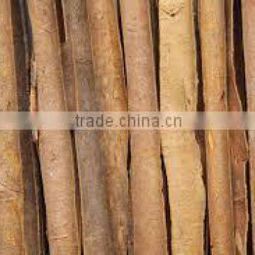Split, Powder, Tube, Broken Cassia/ Cinnamon Vietnam For Bangladesh Market photo-3