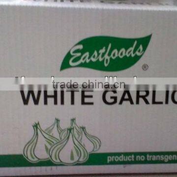 2014 New Fresh Garlic photo-2