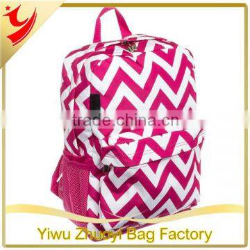 Children's and Teens' Zebra Print School Backpack