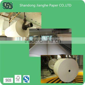 Single Sided and double PE Coated Paper in roll