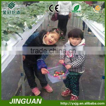 Agricultural Weed Block Mat, Ground Cover in Strawberry Yard