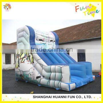 Customized PVC 0.55mm Kids Inflatable Water Slide With Pool Price photo-3