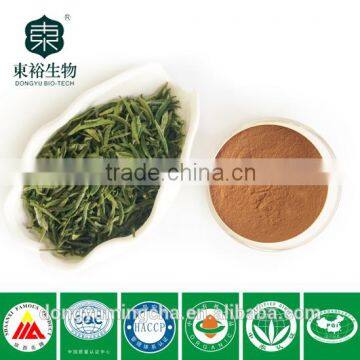 Best Quality and Competitive Price 100% Pure and Natural Organic Green Tea Extract50%-98% photo-3