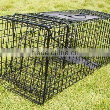 Live animal cage trap for Raccoons