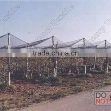 85grm Agriculture Anti-hail HDPE Net for Australian Market photo-4