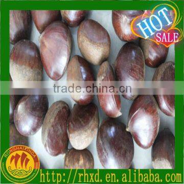 Chestnuts,Hazelnuts,Macadamia Nuts,