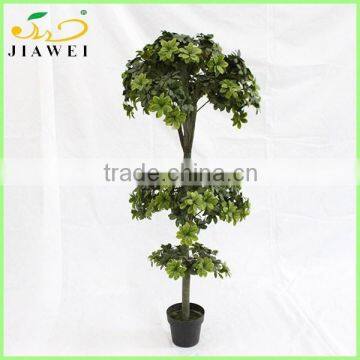 big fake artificial topiary pittosporum tree wooden trunk decoration house