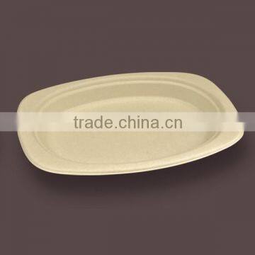 Disposable natural pulp moulded plates