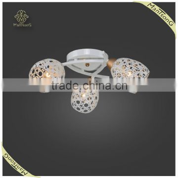 Hot Sale Indoor Decorative Simple Iron Ceiling Light Modern, Hotel Decorative Ceiling Lamp