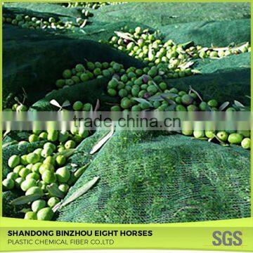 China Wholesale Market Olive Harvest Bet for Sale photo-6