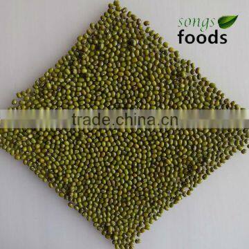 Dry Bulk Myanmar Green Mung Bean