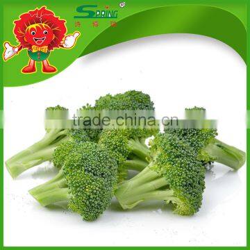 Green Broccoli From China Frozen Broccoli for Sale photo-2
