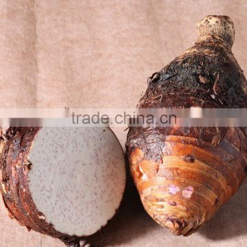 Mytext New crop fresh taro extract wholesale