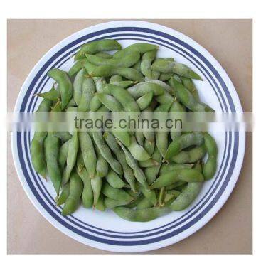 IQF Fresh Soybeans photo-5