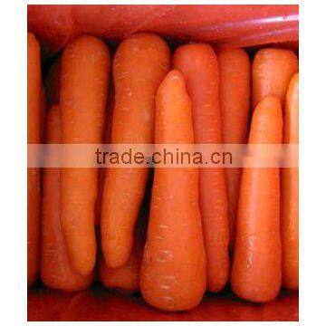 Cheap Carrots