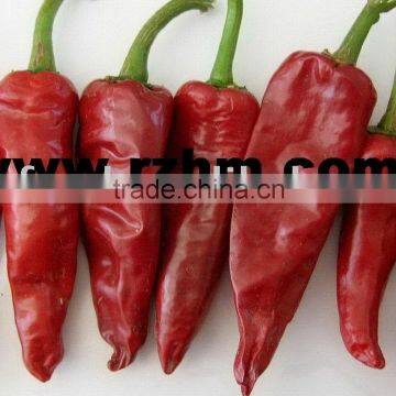 Dry Yidu Chilli