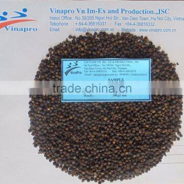 VIETNAM VINAPRO BLACK PEPPER 500G/L, (+84 1657 106 604 - WHATSAPP) photo-2