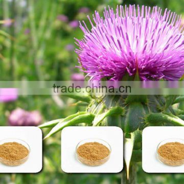 milk thistle extract powder 10:1