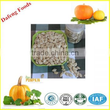 free samples offered chinese pumpkin seeds