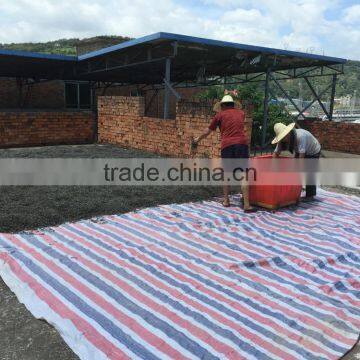 Wholesale Price of Natural Dry Kelp Seaweed, Dried Laminaria