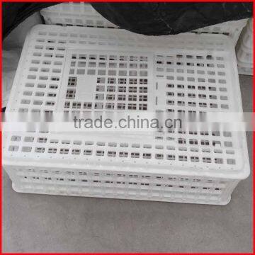 plastic chicken cage
