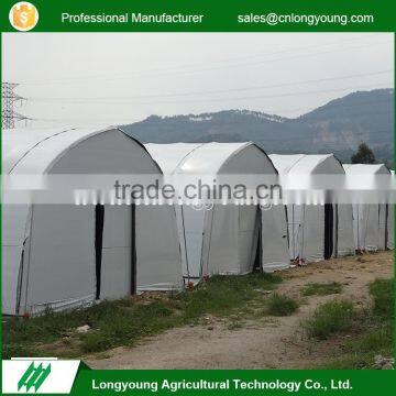 Customized design steel skeleton tunnel aluminium profiles greenhouse