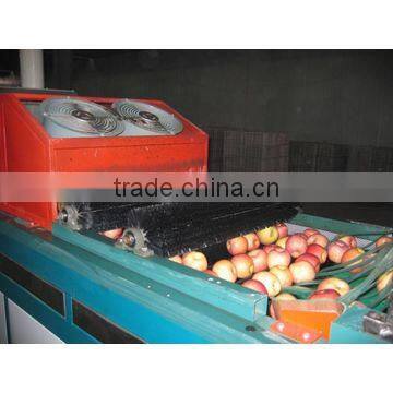 Fruit Selecting Machine/Fruit Pick Up Equipment photo-4