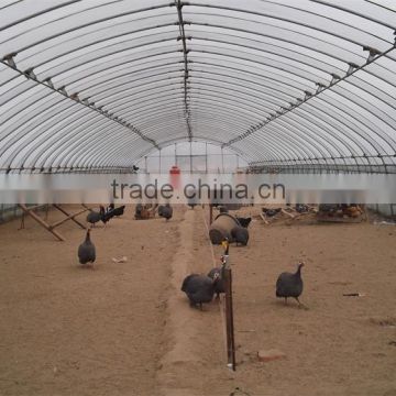 Low cost tunnel greenhouse for poultry farming equipment