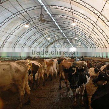 250mm PE Film Covered Single-Span Greenhouse For Cow/Pig Growing