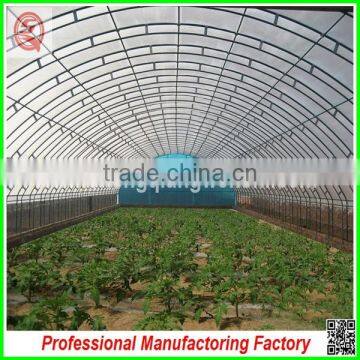 Plastic Multi-span/single-span Greenhouse for Plant Growing With Arched Type photo-5