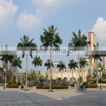 China Wholesale Royal Palm Tree Ornamental Artificial Washingtonia Robusta Palm Trees for Sale photo-2
