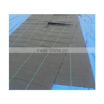Ground Cover Fabric Grass Weed Control Mat photo-5