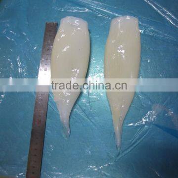 Frozen Illex Argentinus Squid Tube U5/U7/U10 photo-2