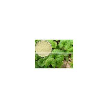 Centella asiatica Extract