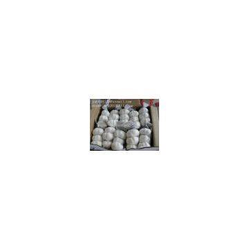 Normal White Garlic (3pcs/small Bag in 10kg/ctn) photo-3