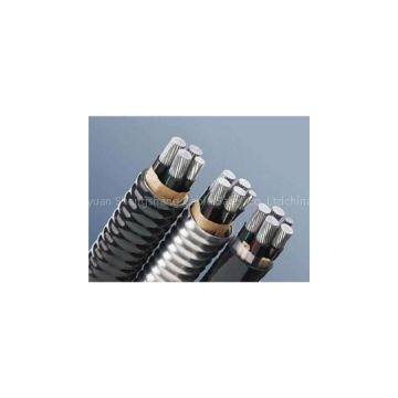 Aluminum Conductor