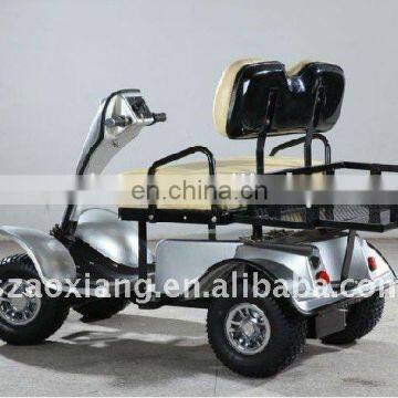 Hot Selling 2 Seater Small Golf Buggy