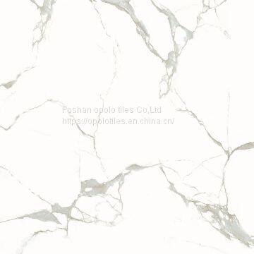 Glazed Porcelain Tiles 600X600 photo-4