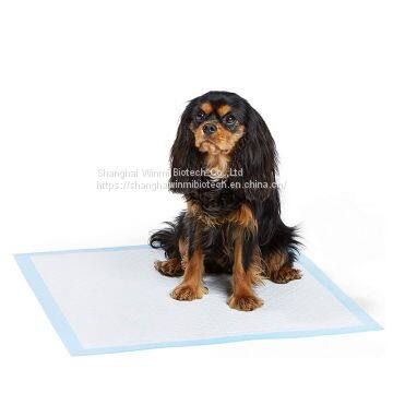 4 Sizes Blue Film Pet Dog Pee Mat Strong Absorption photo-3