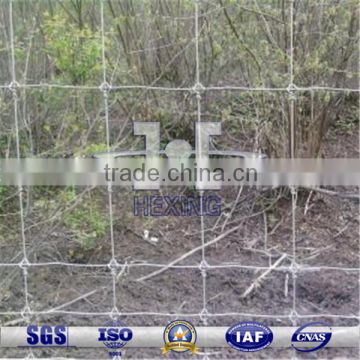 Low Carbon Steel Ranch Fence