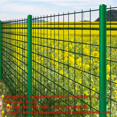 PVC-Welded Wire Mesh/flower and Wood Fences/ vinyl Coat Wire Mesh/ plastic Wire Mesh photo-4