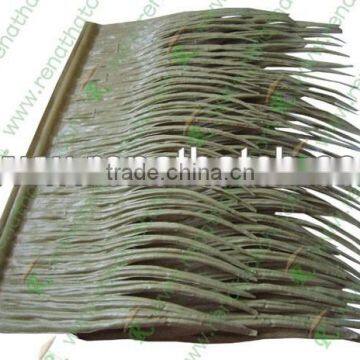 palm leaf