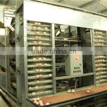 A or H type used chicken egg collecting system for automatic farming