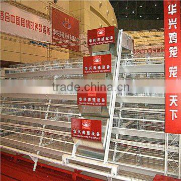 best price automatic egg collection A type hot galvanized & electric galvanzied chicken layer cage price chicken cage