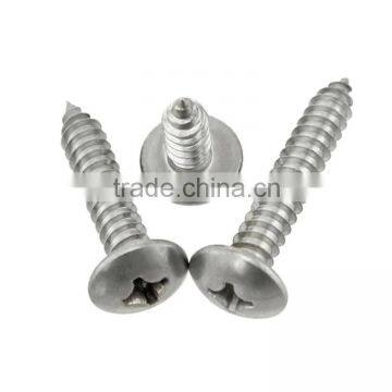 Stainless Steel Cross Flat Head Tapping Screw Thumb Head Tapping Screw