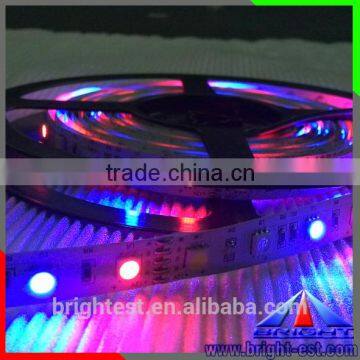 Felxible Led Lamps Strip,SMD5050 Led Strip 60leds/m RGB/RGBW/RGB+W/WW LED Strip Lights                        
                                                Quality Choice