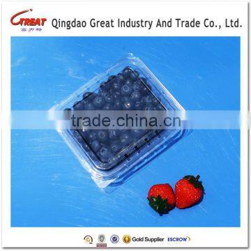 Plastic Fruit Packaging Blueberry Container