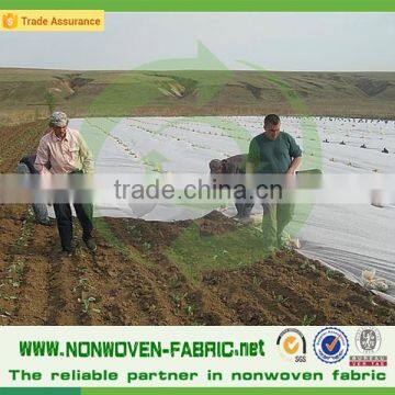 PP Spunbond Nonwoven White Roll/100% Polypropylene Agriculture Product/Eco Banana Bag Non woven Fabricas de telas