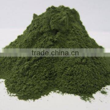 raw pure chlorella powder